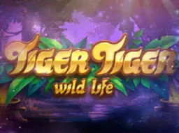 Tiger Tiger Wild Life